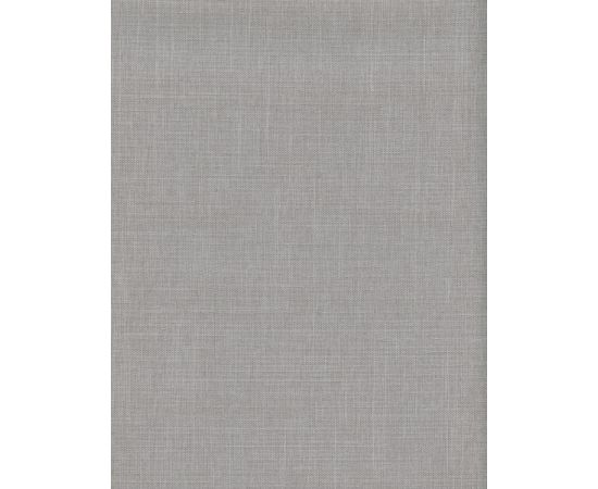 Curtain Delfa Aura SRSH-01M-2720 38(34)/170 cm light gray