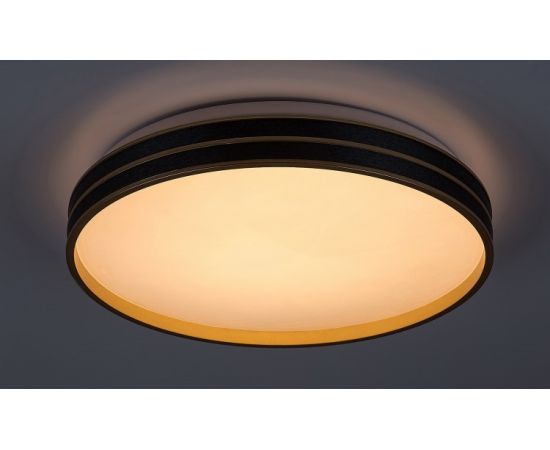 Ceiling lamp Rabalux GANDOR LED 24W 3000 6500K Ø390 metal black plastic white 71141