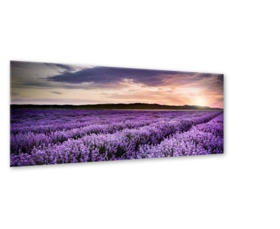 A picture on glass Styler LAVENDER FIELD EX372 50X125