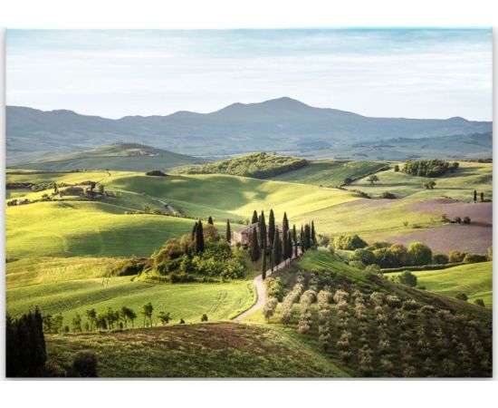 Картина на стекле Styler Tuscany ST546 80X120 см