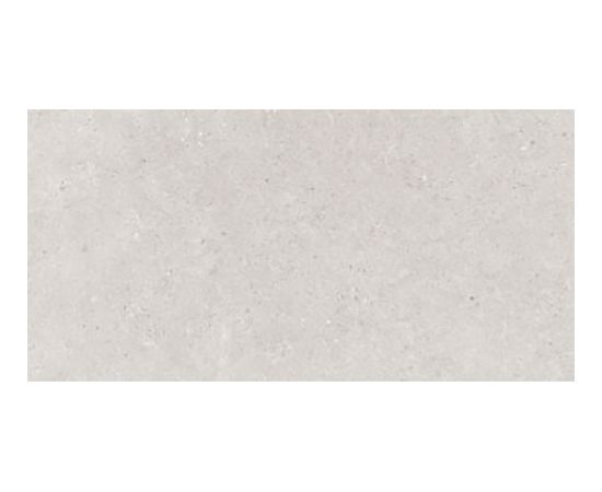 Tile Itaca DUBLIN GRIS MATT 300X600mm