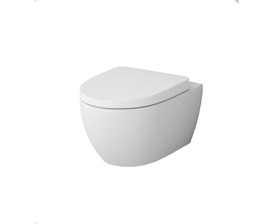 Wall hung toilet  AM.PM Awe C111738SC with microlift seat