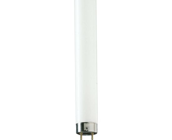 Luminescent lamp Philips TL-D 36W/54-765 1SL/25 6200K 36W G13