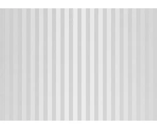 პანელი PVC VOX Profile Vilo D Silver Lines 25х265 сm