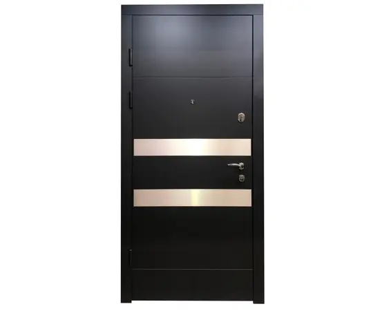 ლითონის კარი Feran 555-AK Left 960x2200mm შ/გ ანტრაციტი