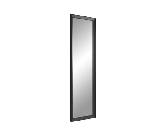 Mirror Styler PARIS 42X137 AK