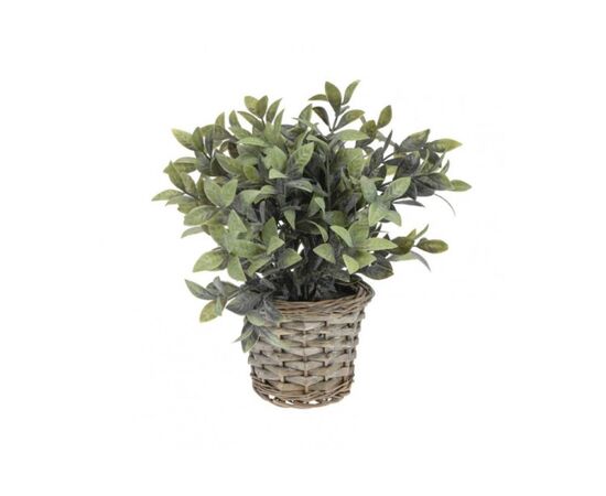 Растение в горшке гарда Декор Koopman 15x28 cм