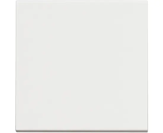 ჩამრთველი ჩარჩოს გარეშე Bticino 2 bt-RW4001M2