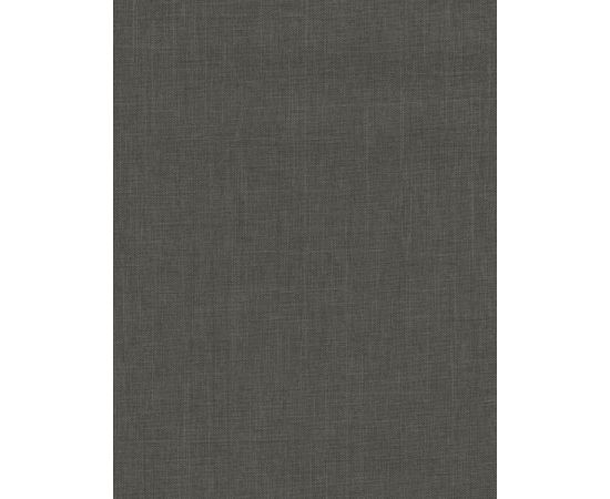 Curtain Delfa Aura SRSH-01M-2721 56(52)/170 cm gray