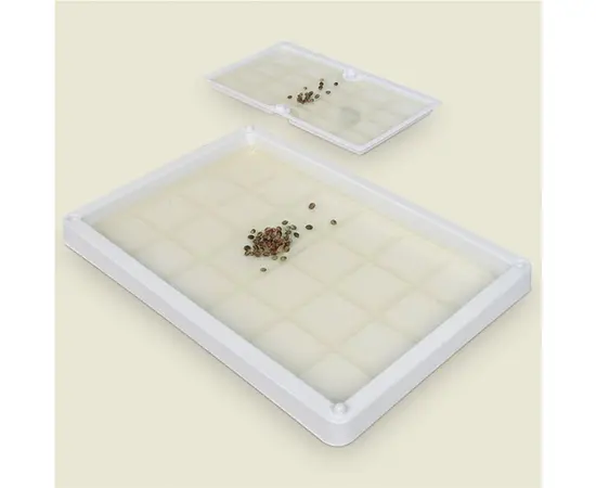 Mouse trap DUROSTICK MOUSE TRAP BIG