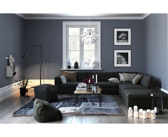 Picture in frame Styler Dandel 2 AB008 50X50 cm