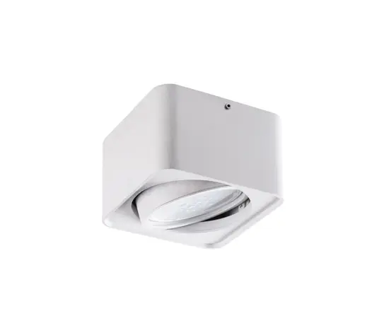 სანათი წერტილოვანი მბრუნავი Kanlux TUBEO ES 50-W GU10 1x MAX 25W