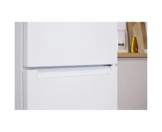 Refrigerator Indesit DF 4160 W 60x167x64 cm