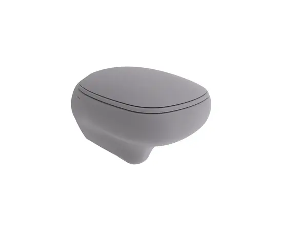 Wall-hung toilet with lid Bocchi Fenice Matt Gray