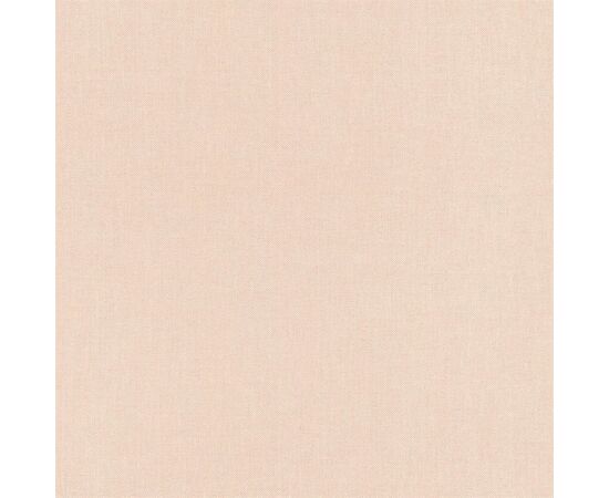 Vinyl wallpaper Rasch 424003 0.53x10.5 m