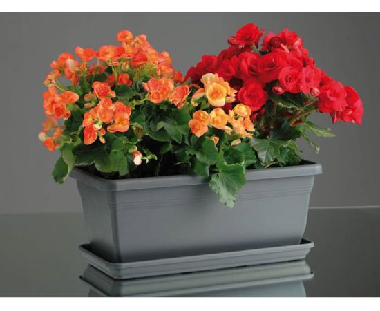 Plastic flower pot FORM PLASTIC  Box Gala 0385-014 60 anthracite