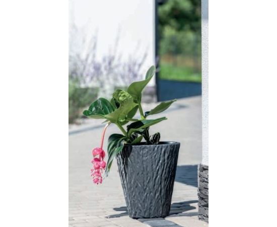 Flower pot Form-Plastic Kora 30 anthracite