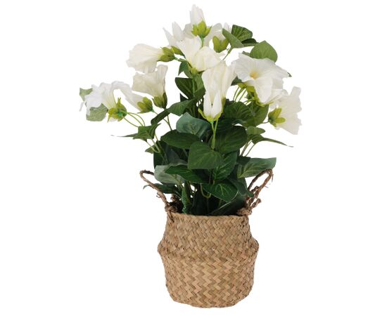 Растение искусственное Koopman 35X20 cм