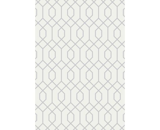 ხალიჩა DCcarpets Ambiance 81203 White/Silver 160x230 სმ.