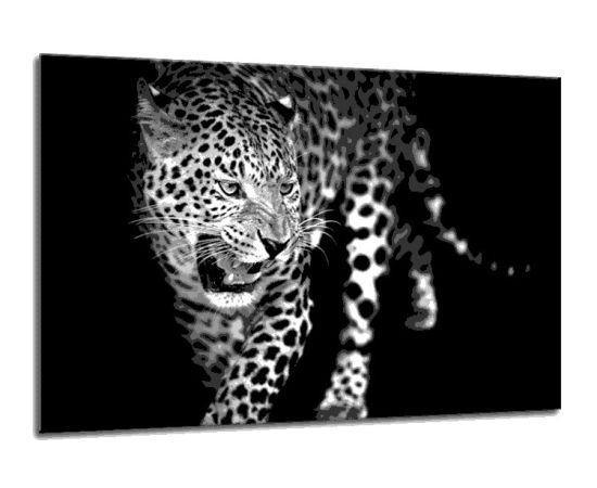 სურათი მინაზე Styler Leopard GL106 70X100 სმ
