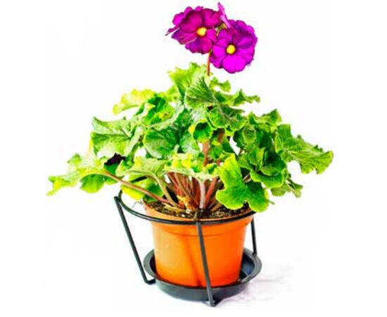 Подвеска для цветов Metallurgica Buzzi Pot Holder with saucer Wall Ø 22x18xh18 см