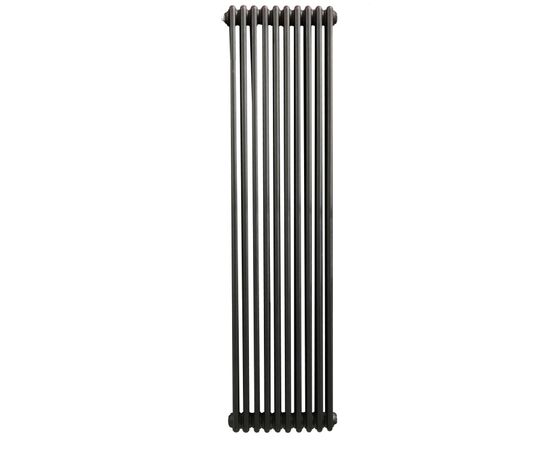 Radiator decorative RRN3180 C005 10EL black (with crib)