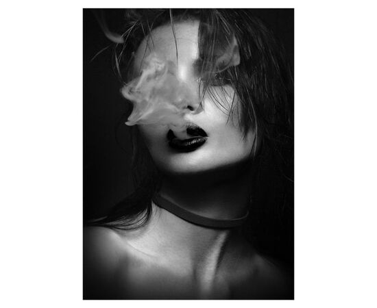 A Picture on canvas Styler ST654 SMOKE SILVER 70X100