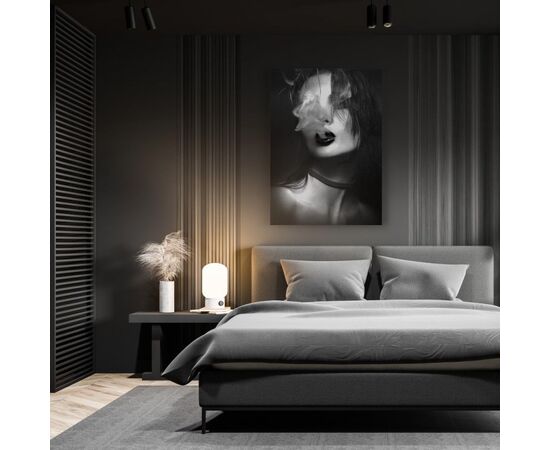 A Picture on canvas Styler ST654 SMOKE SILVER 70X100