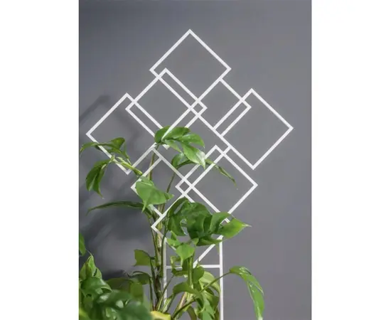 მცენარეების საყრდენი Form Plastic