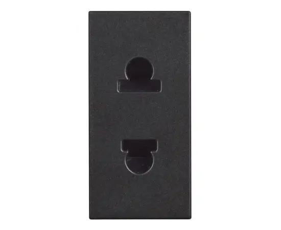 Socket Bticino bt-RG4125 Euro/US black