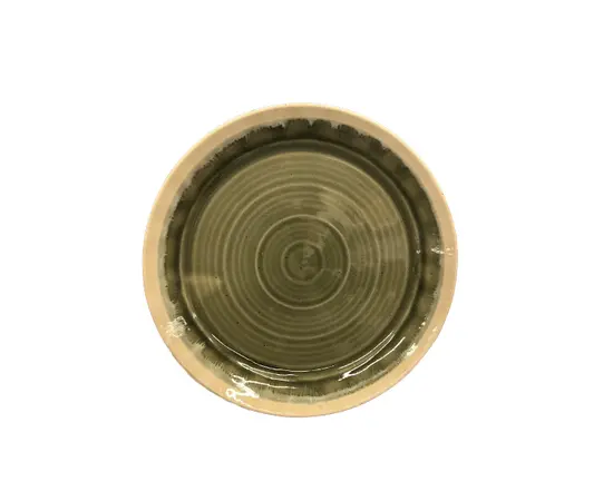 Ceramic plate 42