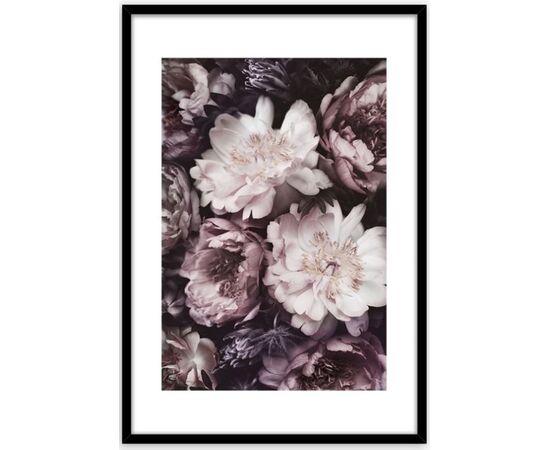 Picture in frame Styler Violet flowers FP074 50X70 cm