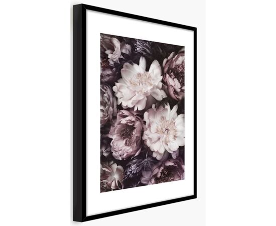 Picture in frame Styler Violet flowers FP074 50X70 cm