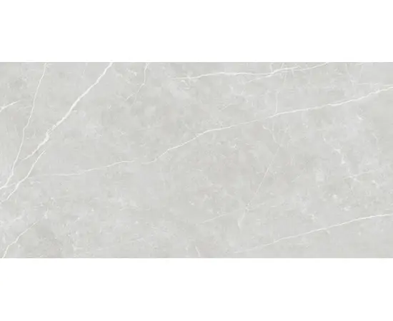 Керамогранит Tau Ceramica Elite Silver 600x1200 мм