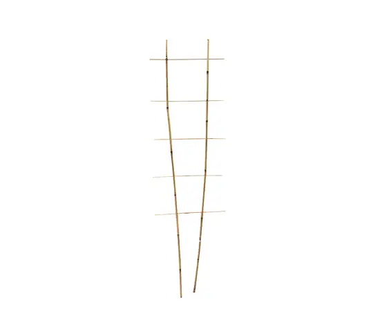 Support bamboo 150 cm