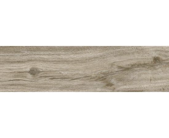 Porcelain tile Emotion ceramics P WILD BEIGE PRI. 24x88