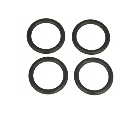 Intersectional gasket Global A024GUAOR