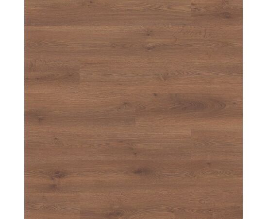 ლამინატი UltraDecor Forte მუხა Monako 1285x192x8 AC5/33
