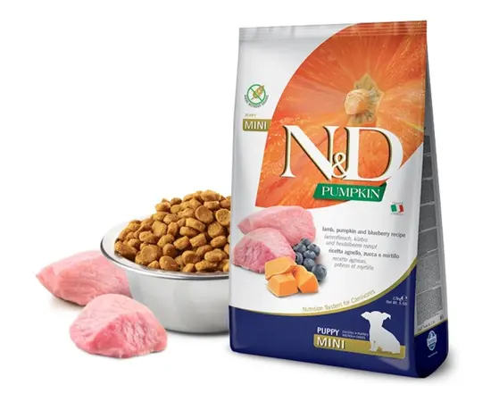Корм для собак Farmina N&D Pumkin Puppy Mini ягненок и черника 2.5 кг