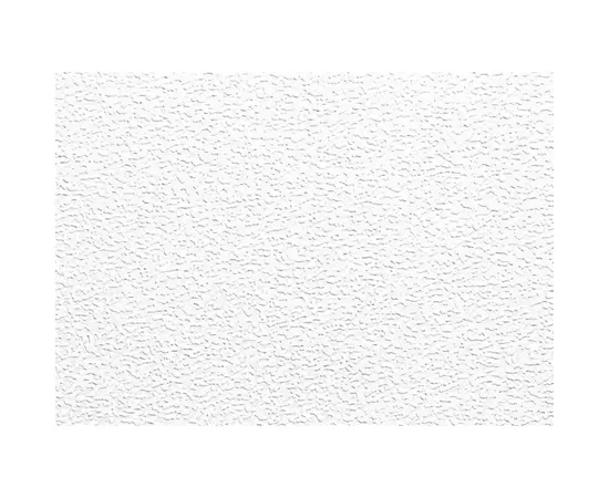 Wallpaper paintable Lanita С-19 1.06x25 m