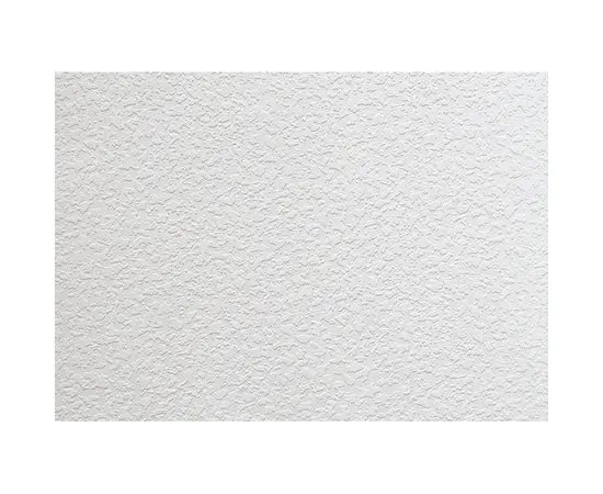 Wallpaper paintable Lanita С-83 1.06x25 m