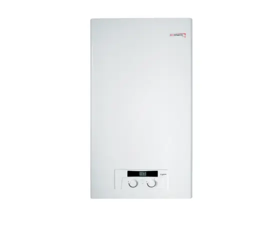 Gas boiler Protherm Lynx HK 24 kWt