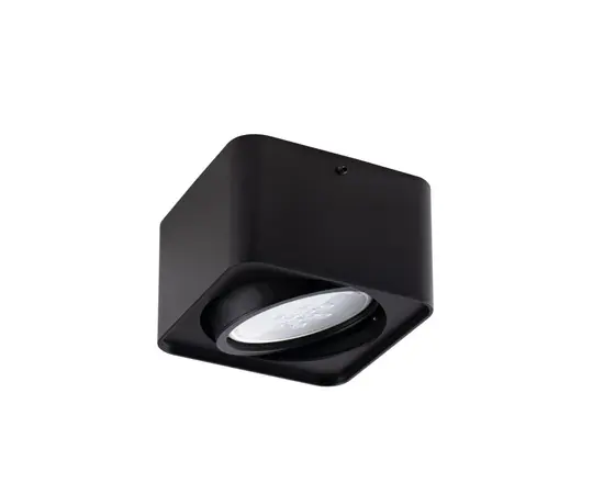 სანათი წერტილოვანი მბრუნავი Kanlux TUBEO ES 50-B GU10 1x MAX 25W