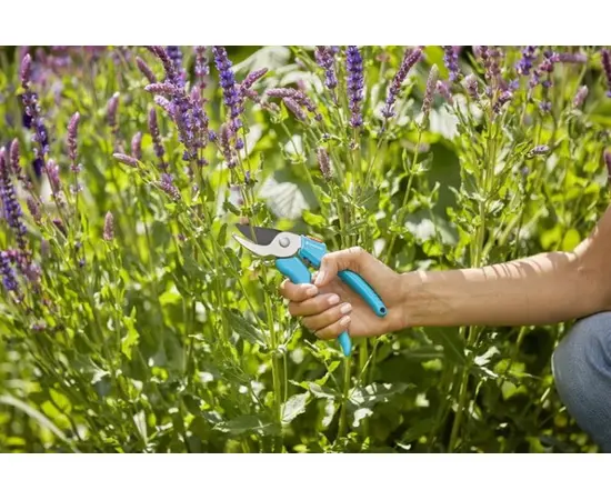 Pruner Gardena 8754-20