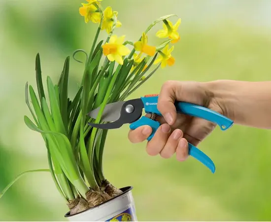 Pruner Gardena 8754-20