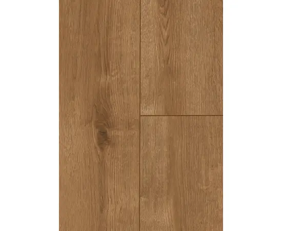ლამინატი წყალმდგრადი Classen Story Aqua Protect მუხა Darwin 62430 1285x192x12 მმ AC4/32