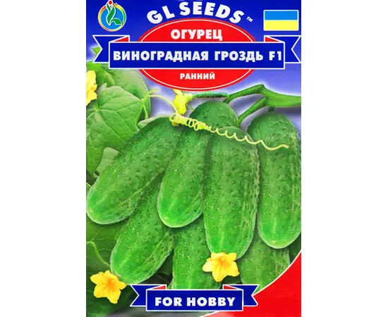კიტრის თესლი  GL SEEDS ყურძნის მტევანი F1 10 ც