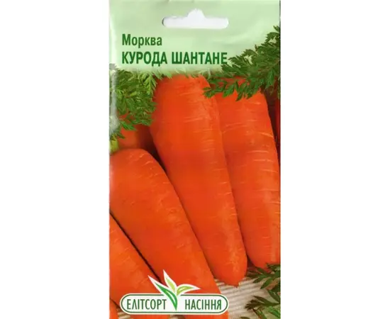 სტაფილოს თესლი ELITSORT Kuroda Shantane 1 გრ