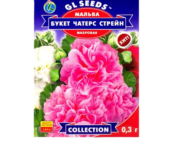 თესლი ბალბას GL Seeds ჩატერს სთრეინ თაიგული 0,3 გ