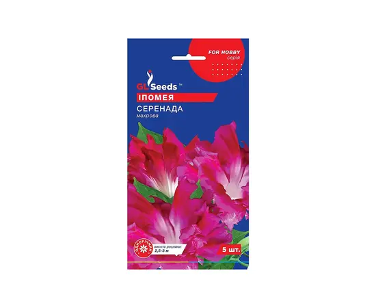 Morning Glory Seeds GL Seeds Serenada 5 pcs